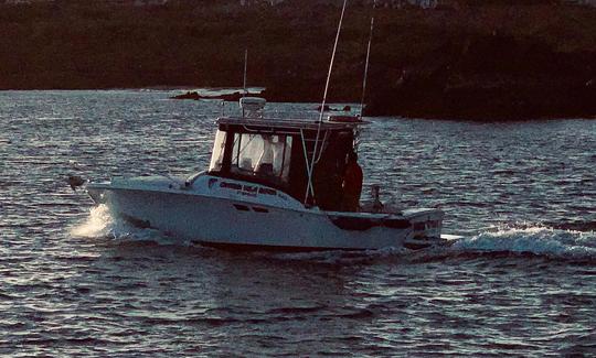 Location de 25 bateaux de pêche Luhrs pour 6 personnes à Arona, Espagne