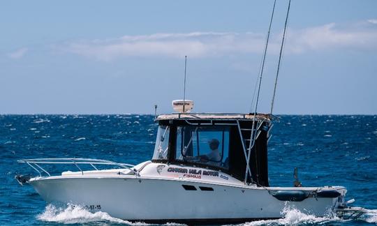 Location de 25 bateaux de pêche Luhrs pour 6 personnes à Arona, Espagne