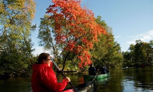 Kayak individual o canoa /Alquiler en Siuntio, Finlandia