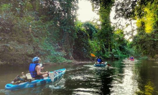 Paddling in the shade of trees