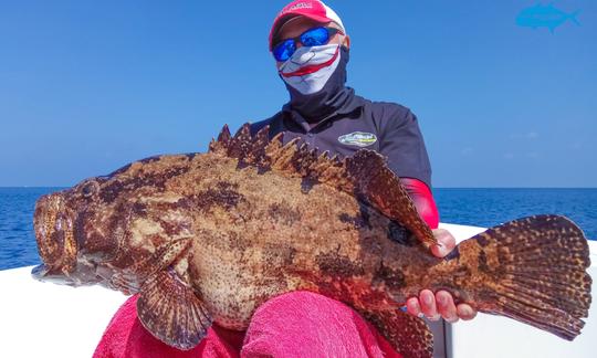 Desfrute da pesca em Ari Atoll, Maldivas, no console central