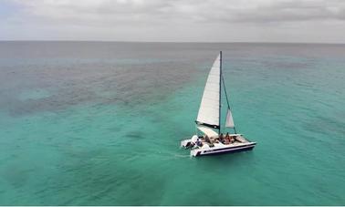 The 30ft in Cruises at Barbados