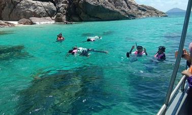 Excursión de un día para practicar esnórquel en el punto de control de la isla Redang, solo en Terengganu, Malasia