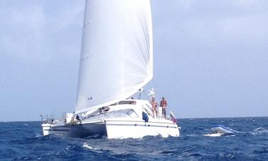 Aluguel de catamarã de cruzeiro em Guna Yala Comarca