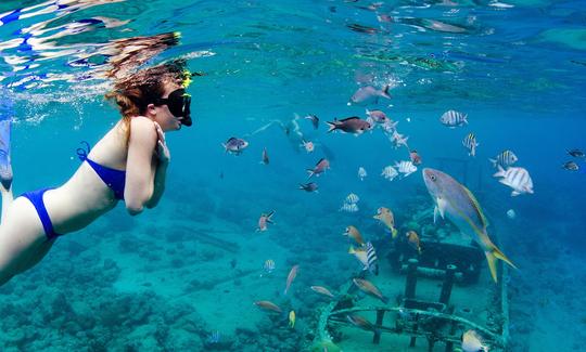 Snorkeling at the famous Tugboat