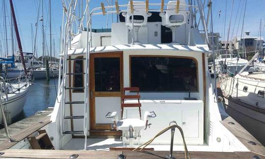 Fishing Charter on 38' Dawson Sportfish Yacht in Norfolk, Virginia