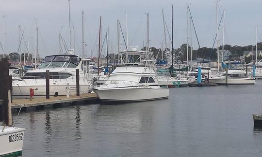 Fishing Charter on 38' Dawson Sportfish Yacht in Norfolk, Virginia