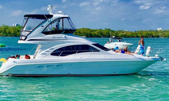 Luxury 46’ Sea Ray Yacht Experience with Stunning Views