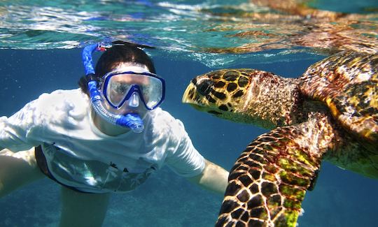 Costa oeste de Curaçao, praias incríveis, possibilidade de embarque em navios de cruzeiro