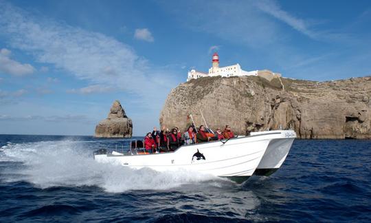 1h30 H Coastal Tours in Sagres, Faro