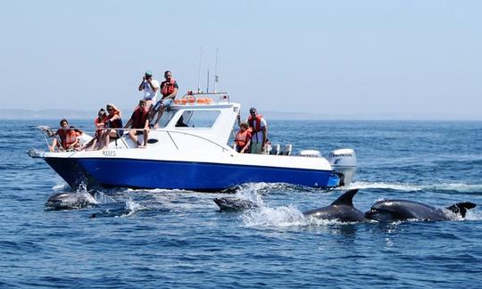 1h30 H Coastal Tours in Sagres, Faro