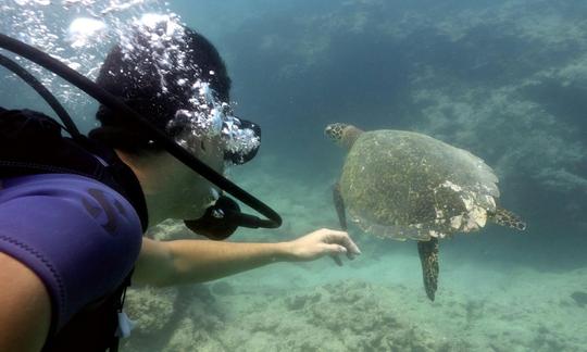 Descubra o mergulho com profissionais experientes da PADI em Quatre Cocos