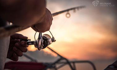 Boat Fishing Tour for 4 People on Belgrade Confluence