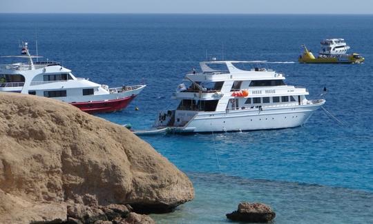 Paseo en barco por el Mar Rojo I Viaje de esnórquel en la isla de Tirán