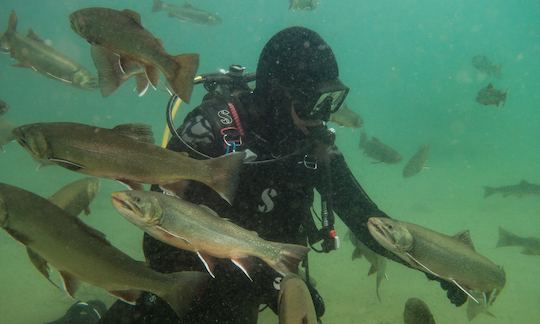 Guided Diving Excursions in Klagenfurt am Wörthersee