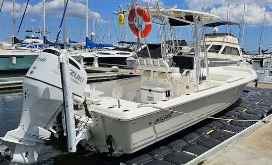 Tours de observación de delfines y recorridos ecológicos en el puerto de Charleston 