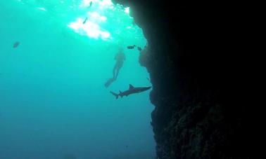 Vacances de plongée sous-marine aux îles Galapagos