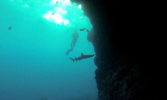 Férias de mergulho nas Ilhas Galápagos