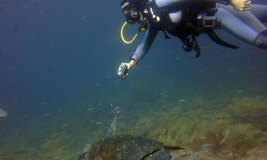 Férias de mergulho nas Ilhas Galápagos