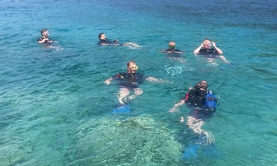 Diving Adventure in Budva, Budva Municipality