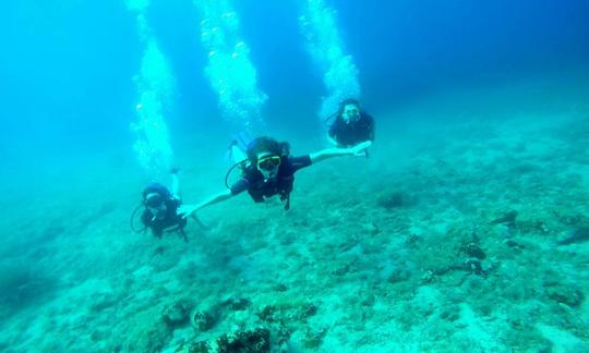 Diving Adventure in Budva, Budva Municipality