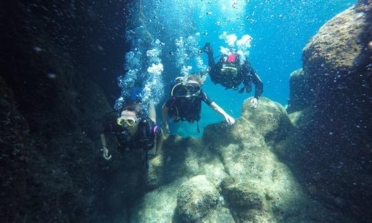 Diving Adventure in Budva, Budva Municipality