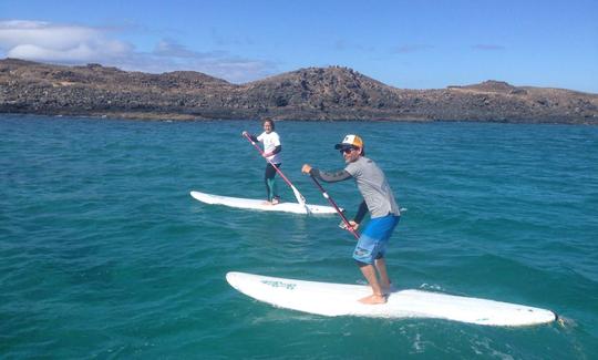 Excursions sur l'île de Lobos (plongée en apnée + SUP)