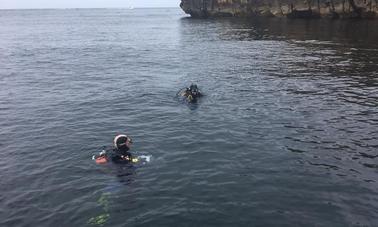 Book a Snorkeling Trip in Peniche, Leiria