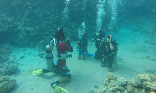 Viagem de mergulho à ilha de Tiran, no Egito