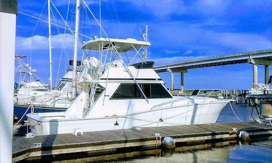 41' Viking Yacht for Harbor Cruise in Charleston