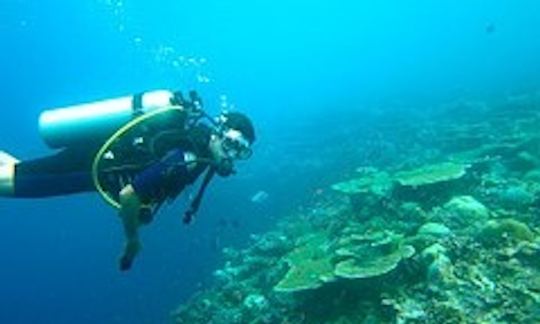 Scuba Diving Negril Jamaica