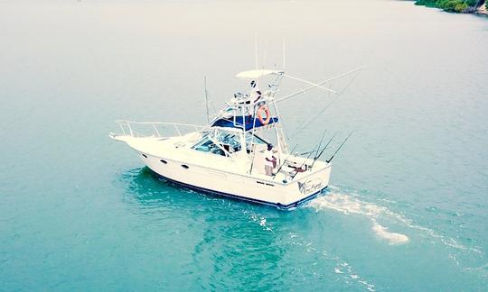 Aerial View Of Our Boat