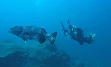 Learn To Dive with the Professionals in Kilindoni, Pwani Region