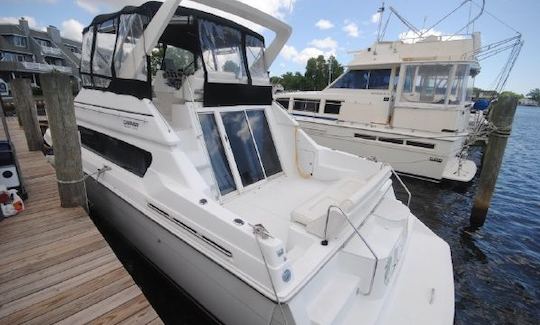 Stern platform with twin entrance to cockpit