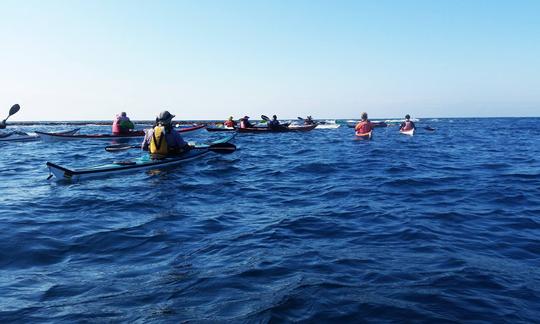 Descubra o Mar Morto! Passeio de caiaque de 2 a 3 horas para até 20 pessoas