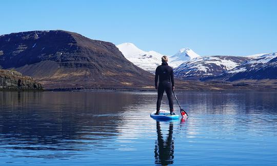 Expérience inoubliable de stand up paddleboard en Islande | Photos gratuites