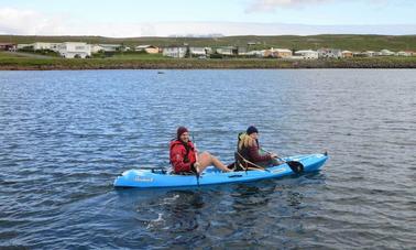 Réservez l'excursion en kayak sur les oiseaux et la plage à Selfoss, en Islande