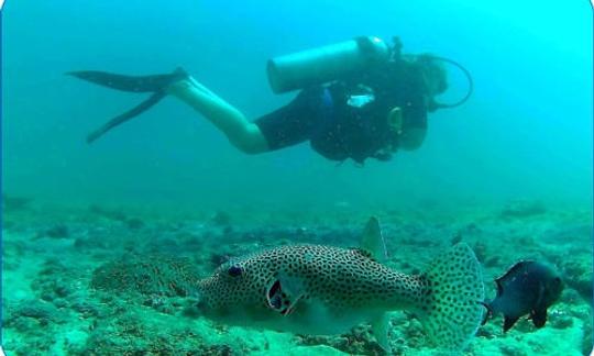 Explora el mundo submarino de Kandakuliya, Sri Lanka