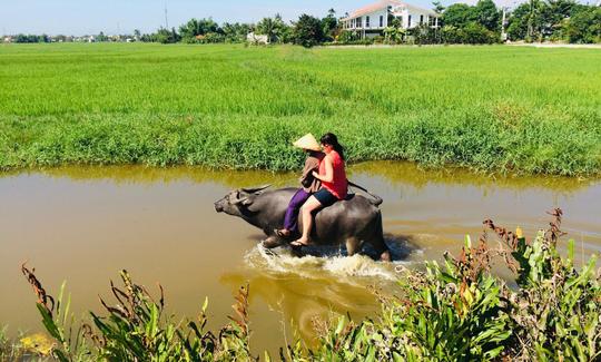 riding water buffalo first