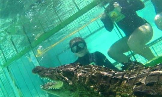 Buceo en jaulas de cocodrilos en Simondium, Paarl