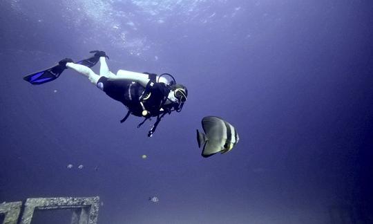 Excursions de plongée sous-marine autour des sites de plongée célèbres de Phuket avec le centre de plongée primé SSI Diamond