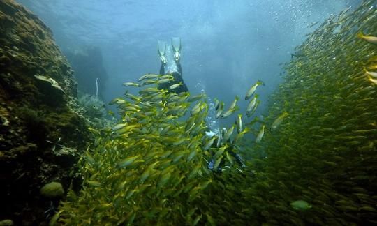 ¡Obtén tu certificación de buceo en Tambon Rawai, Phuket!