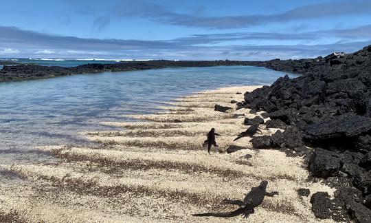 Snorkeling and Experiential Fishing in Puerto Ayora, Islas Galápagos