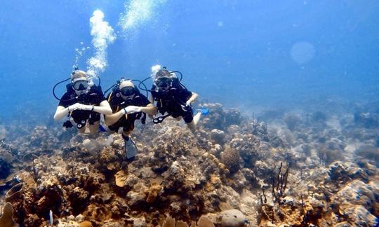 Excursions de plongée sous-marine et cours de plongée récréative à Punta Cana, en République dominicaine !