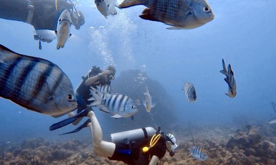 Excursions de plongée sous-marine et cours de plongée récréative à Punta Cana, en République dominicaine !