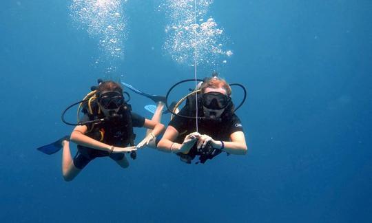 Excursions de plongée sous-marine et cours de plongée récréative à Punta Cana, en République dominicaine !