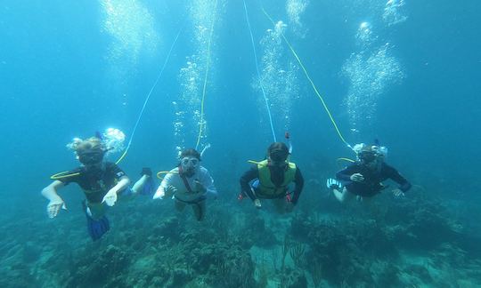 Private Snuba Tour in Virgin Gorda, British Virgin Islands