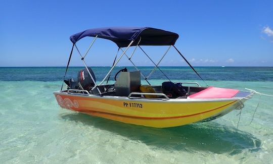 13' Boston Whaler Center Console Rental in Sainte Rose Basse-Terre