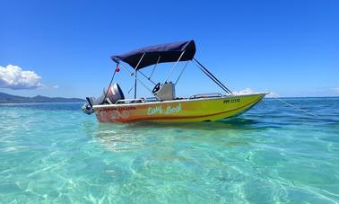 Location d'une console centrale Boston Whaler de 13 pieds à Sainte Rose Basse-Terre