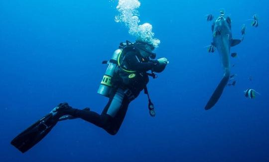 PADI Diving Courses with Professional Dive Instructor in Bali, Indonesia!